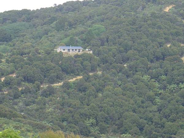 Paroa Bay Jewel - Lot 3 4.0020ha Picture 1