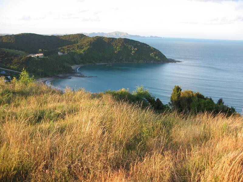 LIVING AT THE BEACH Picture 3