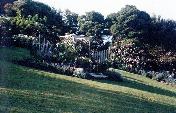 ONE OF THE LAST! Picture 3