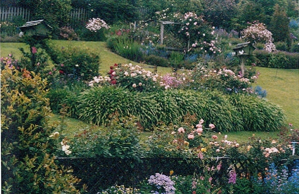 ONE OF THE LAST! Picture 1