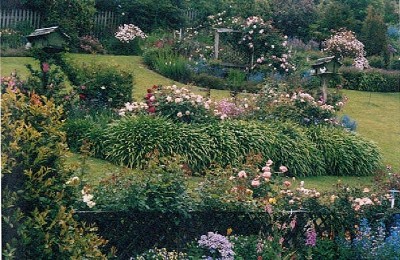 ONE OF THE LAST! Picture ONE OF THE LAST! Picture