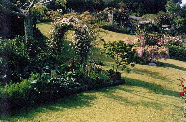 ONE OF THE LAST! Picture 2