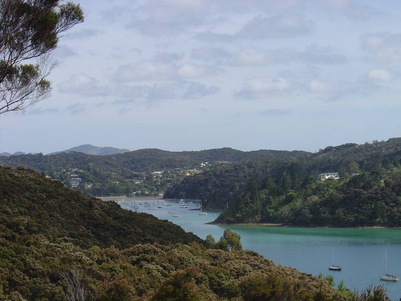 TE WAHAPU - DREAM SITE Picture 2