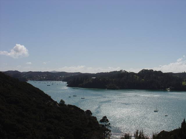 TE WAHAPU - DREAM SITE Picture 1