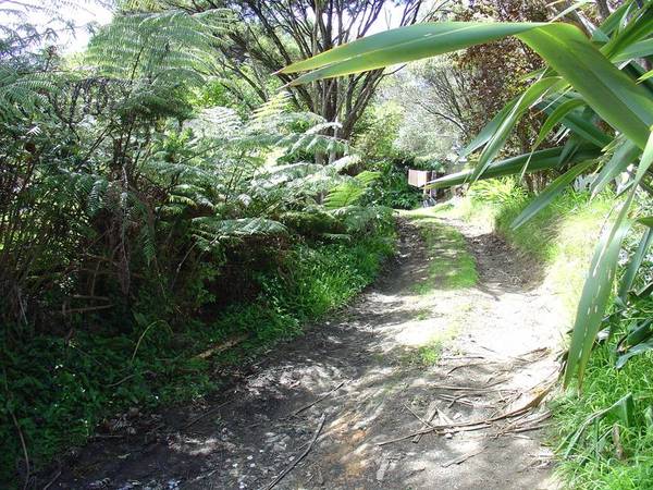 SECTION - EXCEPTIONAL VALUE Picture 1