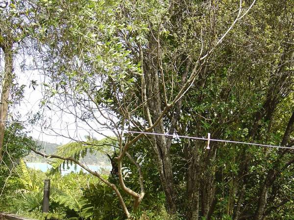 SECTION - EXCEPTIONAL VALUE Picture 2