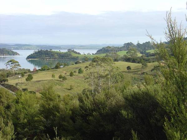 TIKITIKIOURE ESTATE - AUCKS RD RUSSELL Picture 3