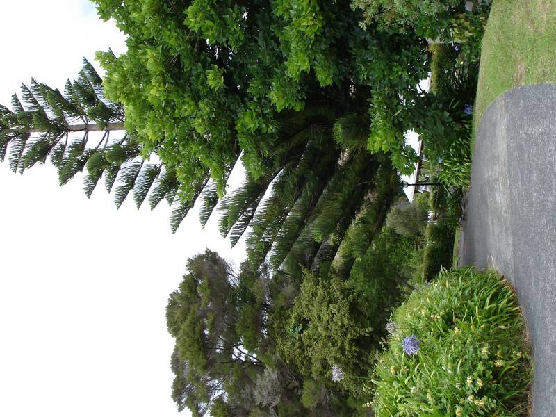 Special Gem Top Address and So Affordable Picture 2