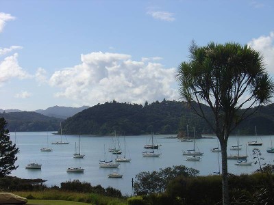 Flat Section - Excellent building site - OKIATO POINT RUSSELL BAY OF ISLANDS Picture