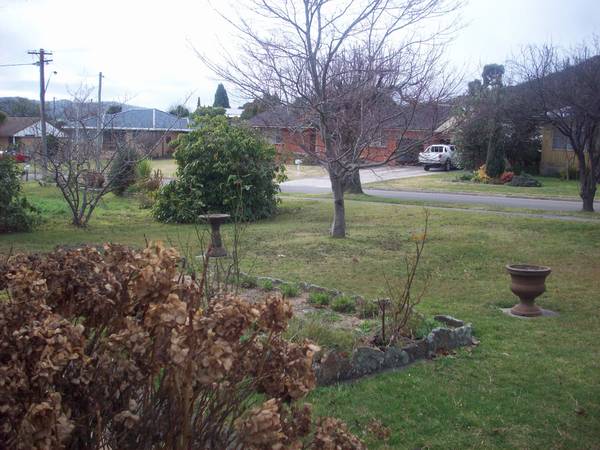 RED CARPET SPECIAL Picture