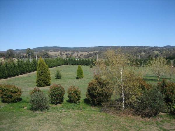 YOUR NEW LIFESTYLE CHOICE Picture YOUR NEW LIFESTYLE CHOICE Picture