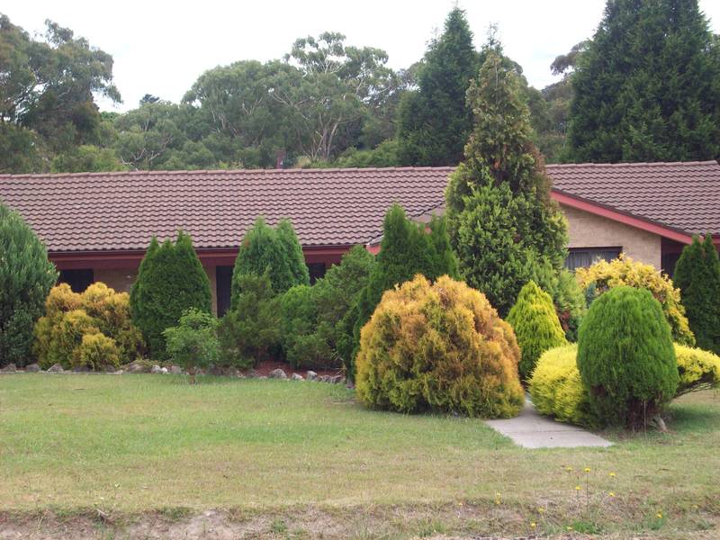 DEFINITELY LOVABLE Picture 1