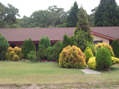 DEFINITELY LOVABLE Picture