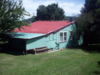 THE SECRET GARDEN Picture