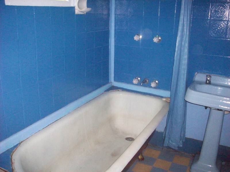 THE SECRET GARDEN Picture 3