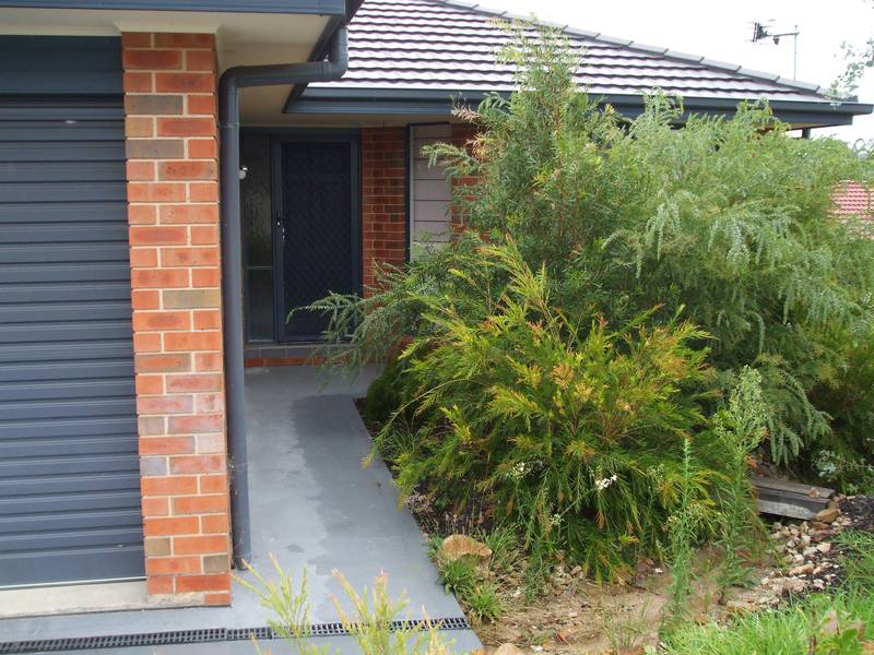 MORE THAN MEETS THE EYE! Picture 1