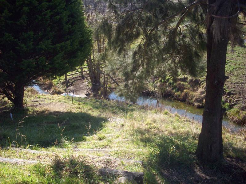 "STOP DREAMING - START LIVING." Picture 3