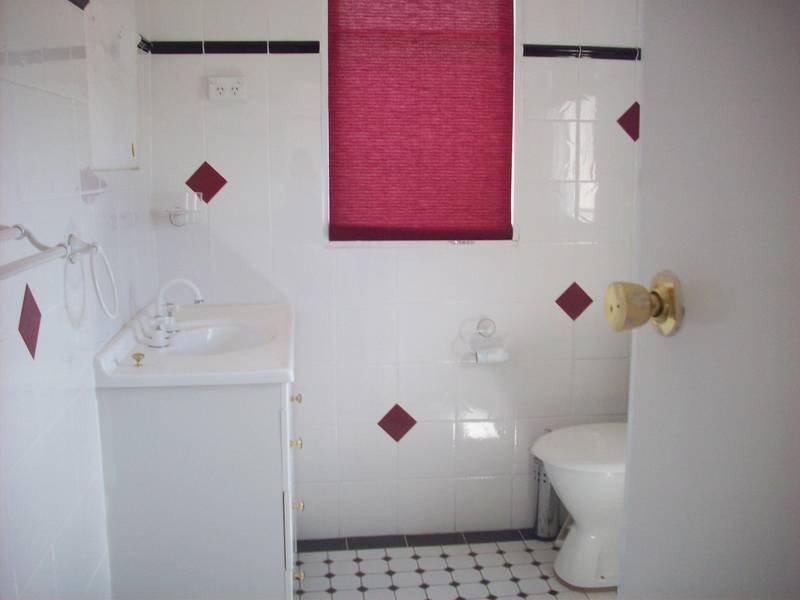 DOUBLE BRICK DELIGHT Picture 3