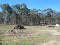 CHEAP LEVEL BLOCK 5 MINUTES KANDOS 10 MINUTES RYLSTONE Picture