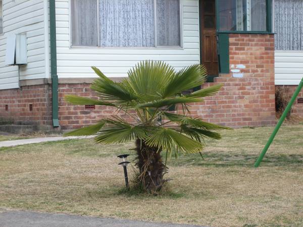 !!First In Best Dressed!! Picture 2