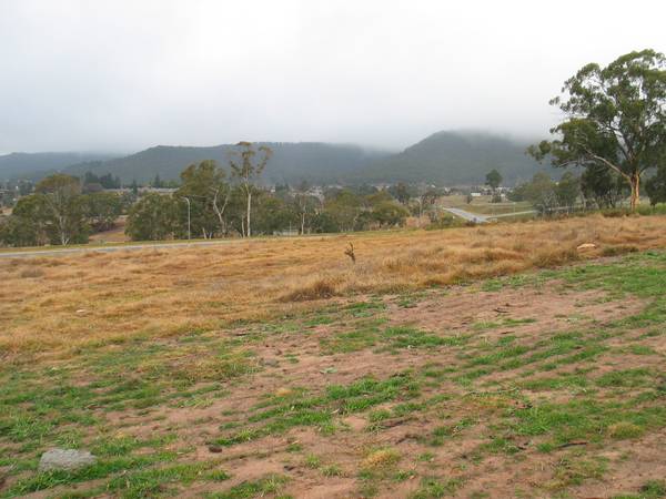 HIGH ON THE HILL OF HILLCREST Picture 2