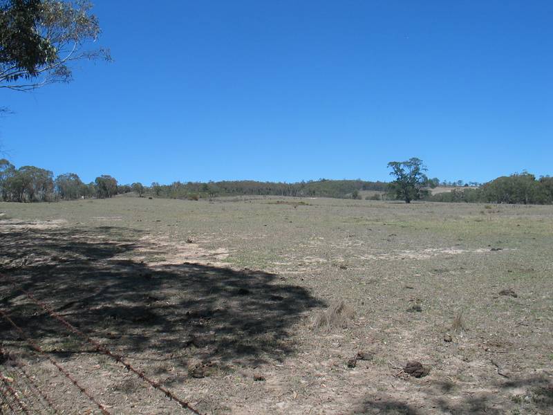 SPRING FED Picture 3