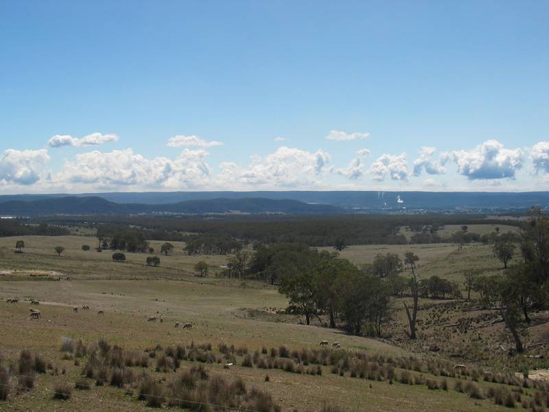 SPRING FED Picture 2