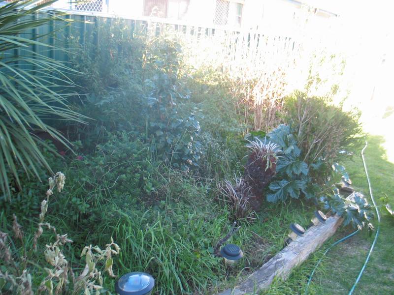 NEWLY RENOVATED Picture 2