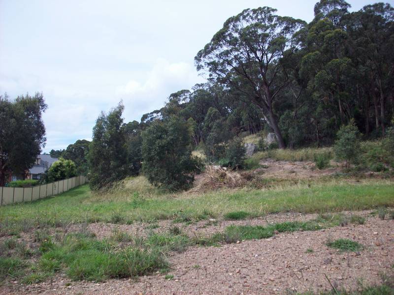 Strathlone Estate Picture 1