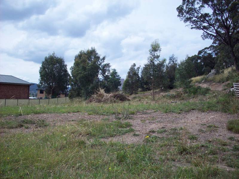 Strathlone Estate Picture 2