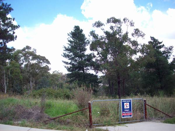 TURN YOUR BACK ON THE CITY Picture 1