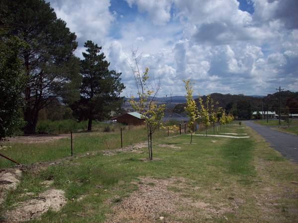 TURN YOUR BACK ON THE CITY Picture 2