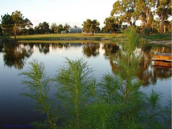 THULIMBAH - LIFE IS WHAT YOU MAKE IT! Picture THULIMBAH - LIFE IS WHAT YOU MAKE IT! Picture