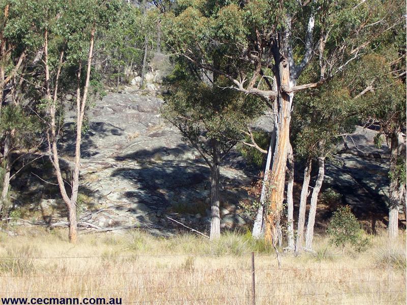 Bush Block Picture 1