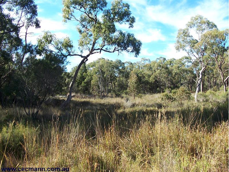 Bush Block Picture 3