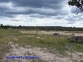 NUNDUBBERMERE - GREAT GRAZING BLOCK Picture