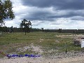 NUNDUBBERMERE - GREAT GRAZING BLOCK Picture