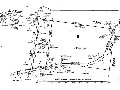 EUKEY - POSITION; POSITION Picture