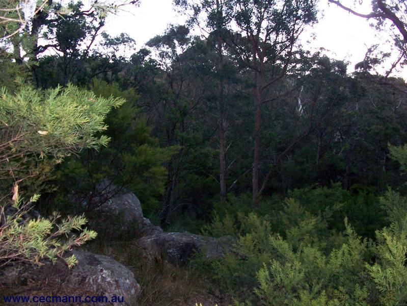 171 ACRES WITH WEEKEND COTTAGE Picture 2