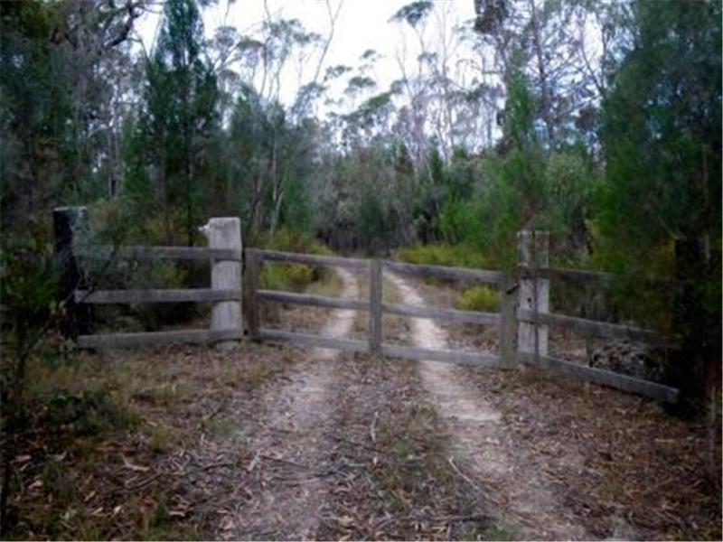 A NATURALIST PARADISE GETAWAY Picture 1