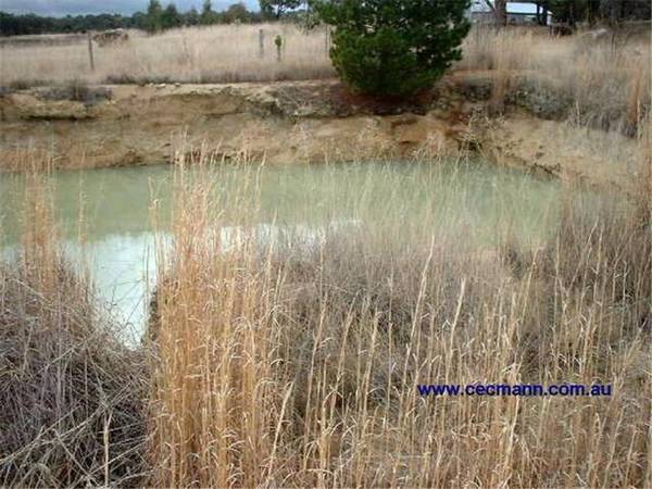 6070 Sqm WINE COUNTRY Picture 2