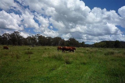 POSITION; POSITION; POSITION Picture