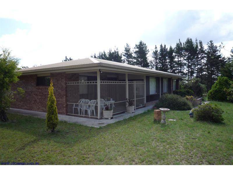 THREE FOR THE PRICE OF ONE Picture 1