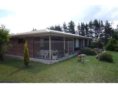 THREE FOR THE PRICE OF ONE Picture