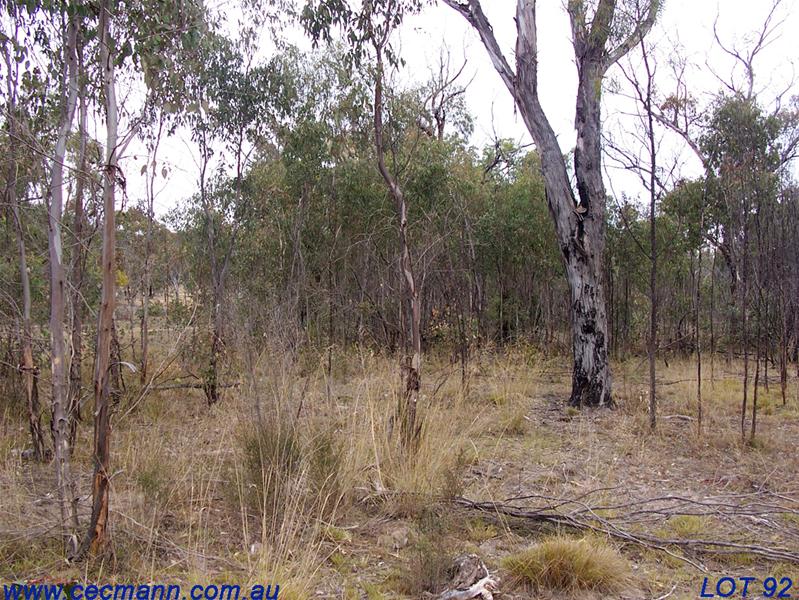 BUSH BUILDING BLOCK Picture 3