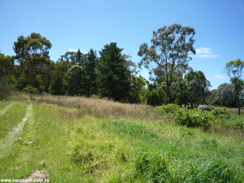 READY-SET-BUILD! Picture 2