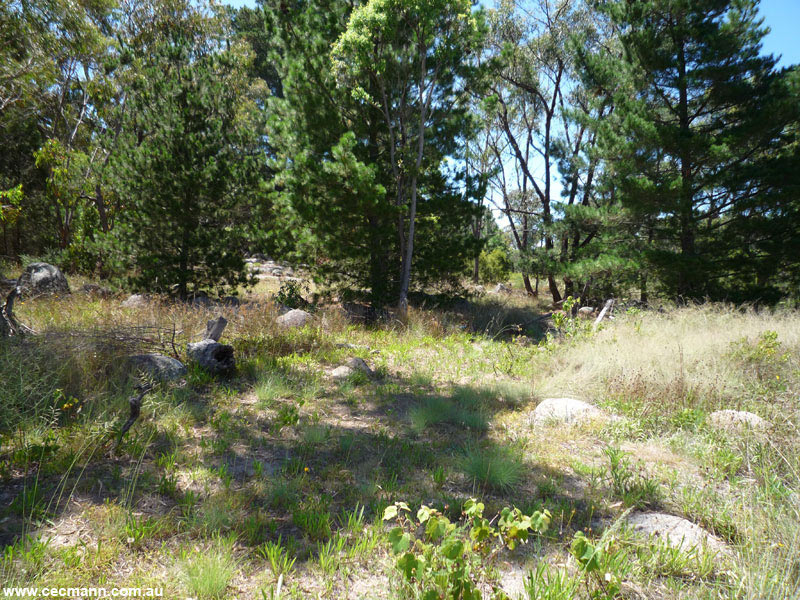 READY-SET-BUILD! Picture 1