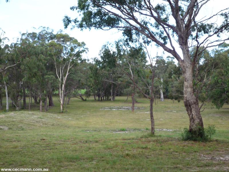 DON'T LOSE THIS PLOT!! Picture 2