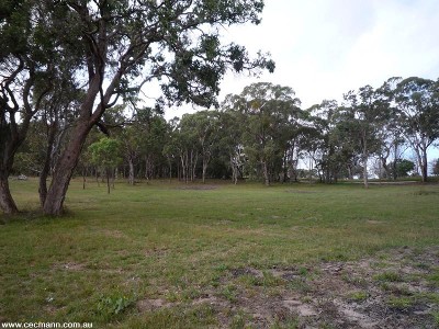 DON'T LOSE THIS PLOT!! Picture