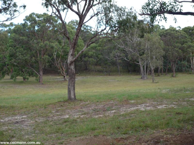 DON'T LOSE THIS PLOT!! Picture 3